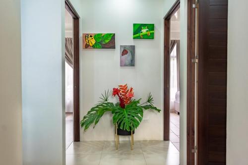 a plant in a vase in a hallway at Bukala Village Lodge in San Ramón