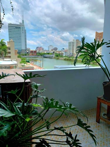 a balcony with plants and a view of a river at 未見海 in Tainan