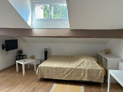 Paradis calme en plein centre ville