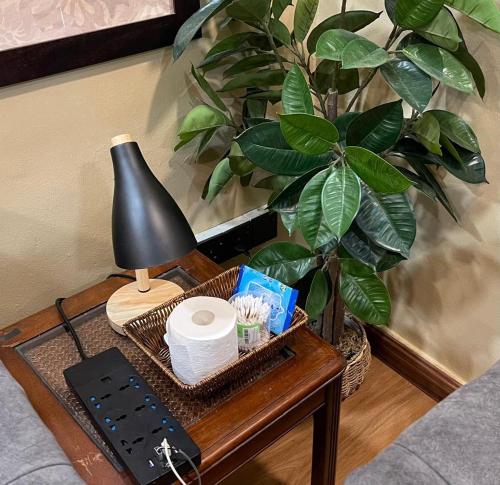 a table with a lamp and a plant on it at Homestay by Tas in Kulai