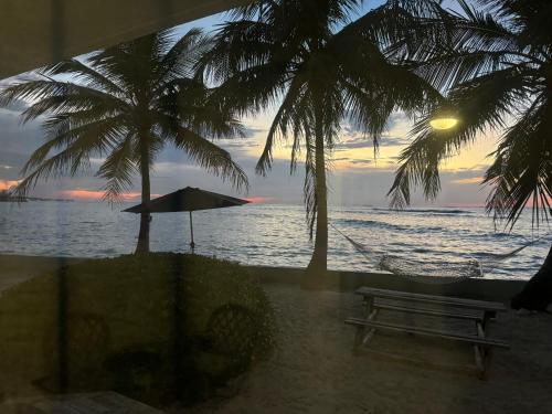 a bench and palm trees on the beach with a sunset at Sunset Cove - Vacation In Paradise! in Nassau