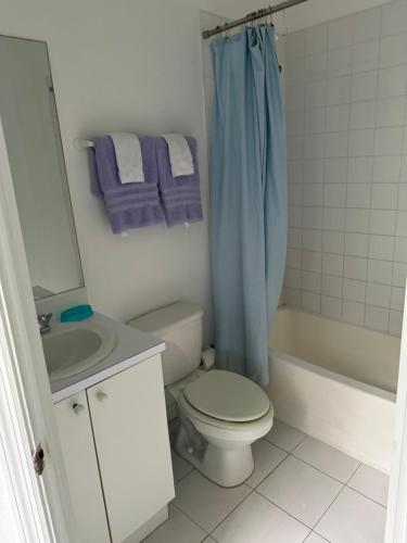 a bathroom with a toilet and a sink and a shower at Sunset Cove - Vacation In Paradise! in Nassau