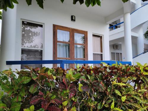 a house with a blue railing and some plants at Brahma Blue Resort in San Pedro