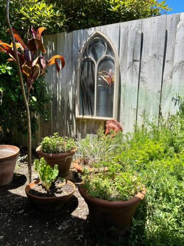 a garden with potted plants and a wooden fence at Tea Tree - Pet Friendly - Prevelly - Margaret River in Margaret River Town