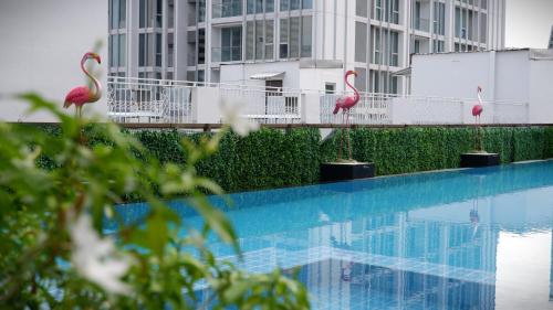 two pink flamingos standing next to a swimming pool at 18 Residence in Bangkok