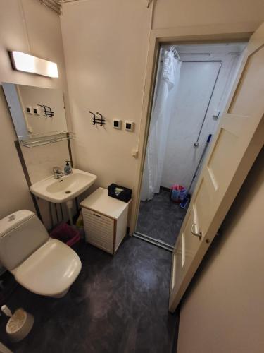 a bathroom with a toilet and a sink and a mirror at Kokon Hovi in Kauhajoki