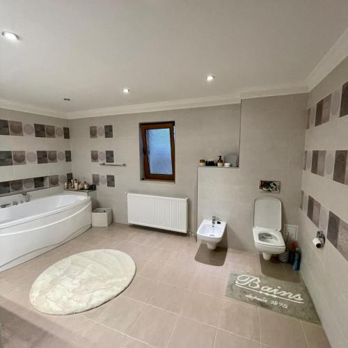 a bathroom with a tub and a toilet and a sink at Casa Aura in Hunedoara