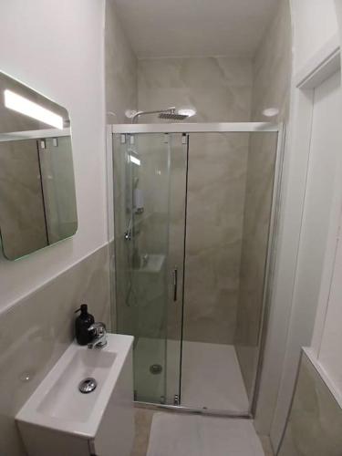 une salle de bain avec une douche en verre et un lavabo dans l'établissement Appartement F1 orchidée, à Mulhouse