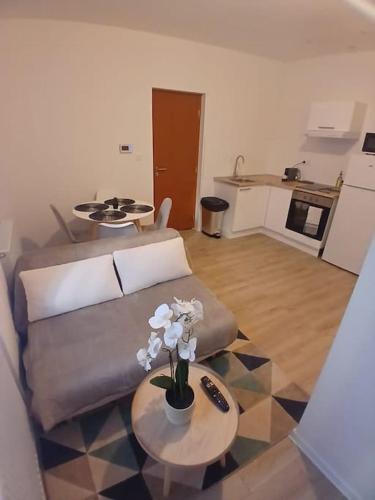 un salon avec un canapé et une table avec des fleurs dans l'établissement Appartement F1 orchidée, à Mulhouse
