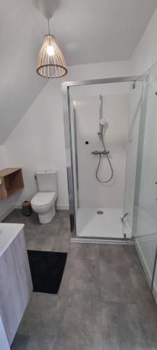 a bathroom with a shower and a toilet at Maison DEOLS centre 41 pour 1 ou 2 personnes in Déols