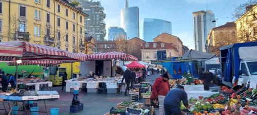 Easy Isola, for an easy stay photo 49