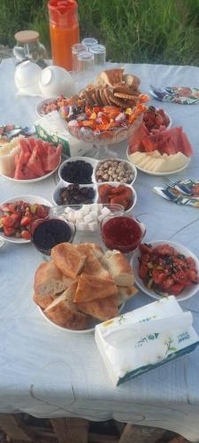 Imeni Voroshilovaにある"Ak-Bulun" Yurt campのたくさんの食べ物の皿が置かれたテーブル