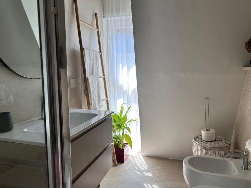Easy Isola, for an easy stay photo 39