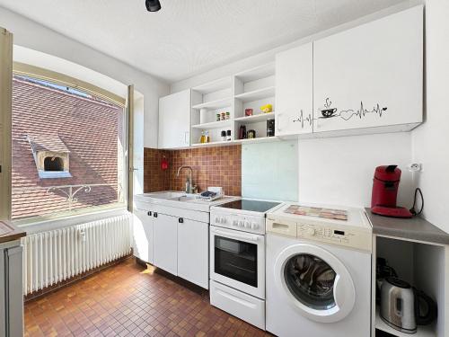 une cuisine avec une machine à laver et un évier dans l'établissement B&B by Jo, à Colmar