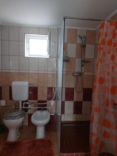 a bathroom with a toilet and a shower at Casuta dintre dealuri in Vlădeşti