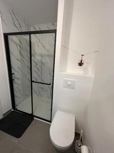 une salle de bain avec toilettes et douche en verre dans l'établissement Appartement Samoens l'Etelley, à Samoëns