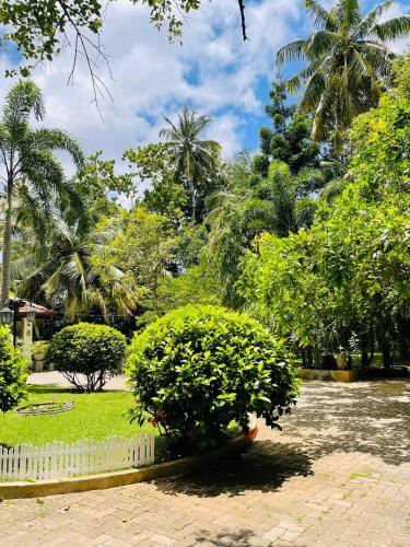 a bush in the middle of a park with trees at Krishan Villa in Negombo