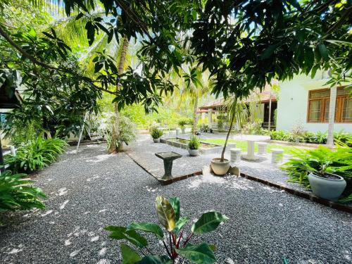 a courtyard with a bunch of potted plants at Krishan Villa in Negombo