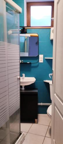 une salle de bain avec un lavabo et des toilettes dans l'établissement L Éclipse, à Aix-les-Bains