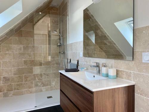 une salle de bain avec un lavabo et une douche avec un miroir dans l'établissement Le Logis Courtelay by Melrose, à Mosles