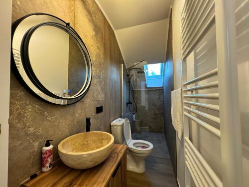 a bathroom with a sink and a toilet and a mirror at Cabana Brad Apuseni in Rîmeţi