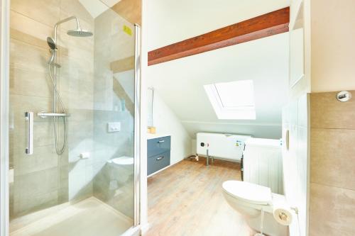 une salle de bain avec douche et toilettes dans l'établissement RT 3 - Charmant F2 sous les combles 1-3 pers, à Mulhouse