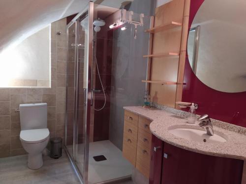 a bathroom with a toilet and a sink and a shower at Gite de 12 personnes a molines in Saint-Étienne-du-Valdonnez