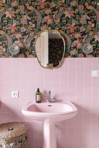 une salle de bain avec un lavabo et un miroir dans l'établissement Belle maison en centre-ville de Vernon, à Vernon