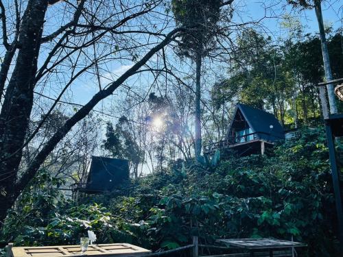a tree house on a hill in the forest at Ma Family Coffee Farm ไร่กาแฟครอบครัวมะ in Ban Huai Pong Nam Ron