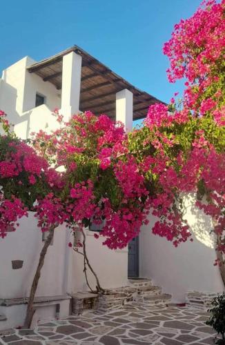 Marousω's Μaisonette