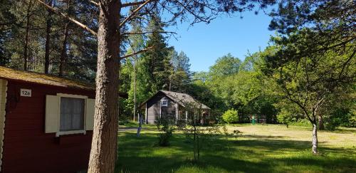 a house and a barn in a field with trees at Tammispea puhkeküla in Tammispea