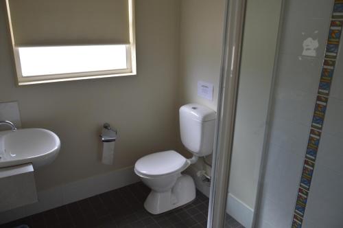 a bathroom with a toilet and a sink and a window at BATHURST GOLDFIELDS MOTEL at 428 CONROD STRAIGHT MOUNT PANORAMA in Bathurst