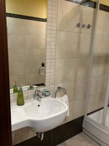 a bathroom with a sink and a shower at Ruben in Nowa Ruda