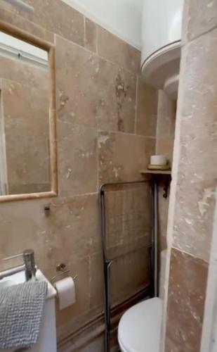 Elle comprend une petite salle de bains pourvue de toilettes et d'une fenêtre. dans l'établissement Les Arènes Quartier La Roquette, à Arles