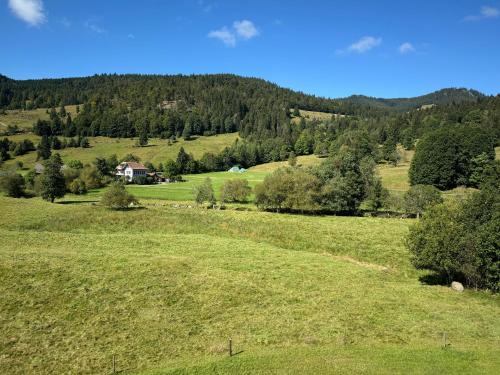 a field of grass with a house in the distance at Apartment Schwinbachblick mit 2 Balkonen in St. Blasien