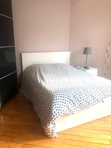 Appartement lumineux et spacieux à Paris Montparnasse