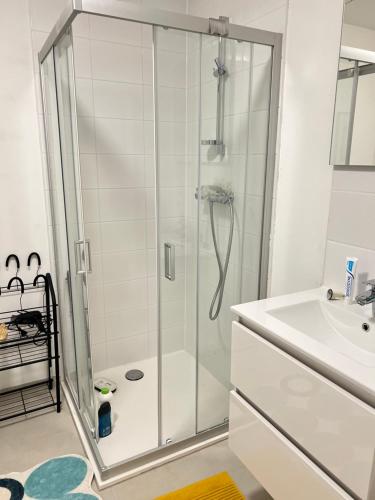 a bathroom with a shower and a sink at visit Brussels city in Brussels