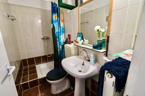 a bathroom with a sink and a toilet and a mirror at Palócliget Vendégház in Kétbodony