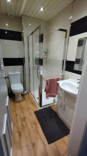 a bathroom with a shower and a toilet and a sink at Lovely flat near Glasgow in Barrhead