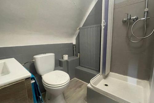 une petite salle de bain avec toilettes et douche dans l'établissement Le Petit Répit - Proche Metz Amnéville Luxembourg, à Serémange-Erzange
