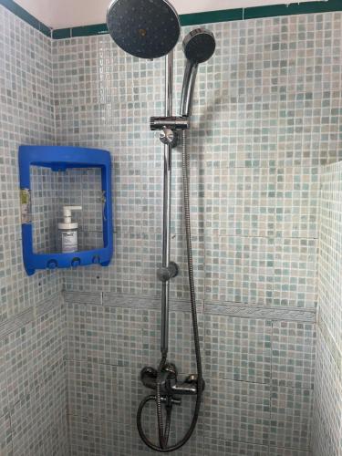 a shower with a shower head in a bathroom at Villa Fiona in Marumbi