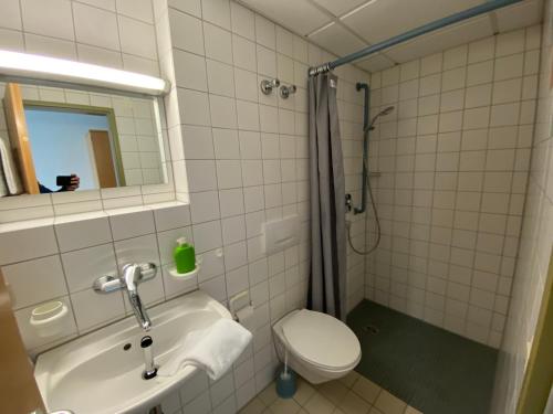 a bathroom with a sink and a toilet and a shower at Schönstattzentrum Aulendorf in Aulendorf