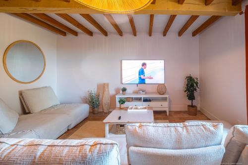 un salon avec deux canapés et une télévision dans l'établissement Les Blancs - Au coeur des vignes - Piscine, à Lisle-sur-Tarn