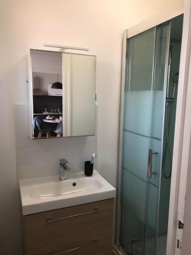 une salle de bain avec un lavabo et une douche avec un miroir dans l'établissement Duplex à la mer, à Binic