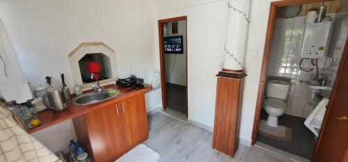 a bathroom with a sink and a toilet and a mirror at Domek w lesie in Łopuszno