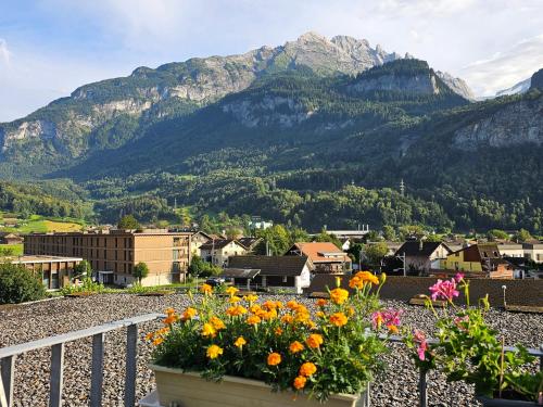 a bunch of flowers on a balcony with mountains at Premium Apartments - central & historical in Meiringen