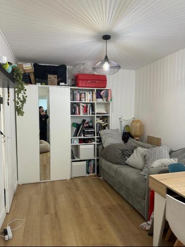un salon avec un canapé et une étagère dans l'établissement Studio paris 13, à Paris