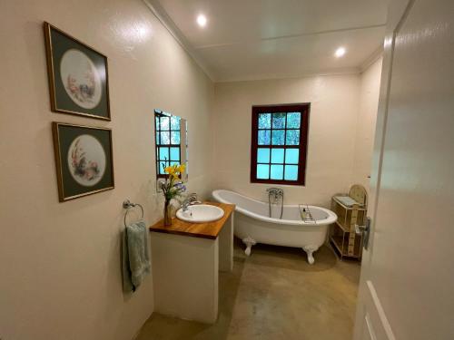 a large bathroom with a tub and a sink at Frog Mountain Getaway in Swellendam