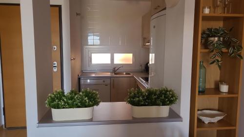 two potted plants sitting on a shelf in a kitchen at Casa Bella Vista in Alhama de Murcia
