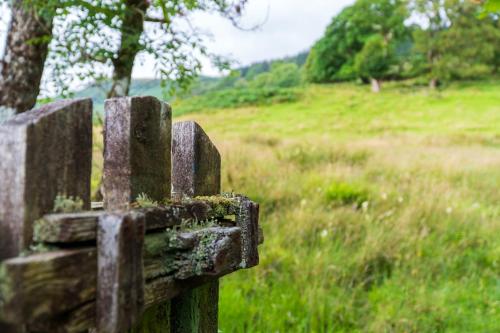 a wooden fence with a field of grass and trees at Killean Farmhouse B&B in Inveraray